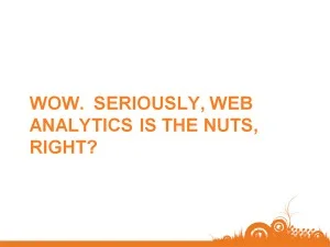 web-analytics-the-nuts-300x225_mj0651